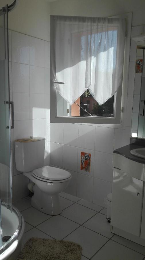 Gite Mas Uranie Le Soler Kültér fotó