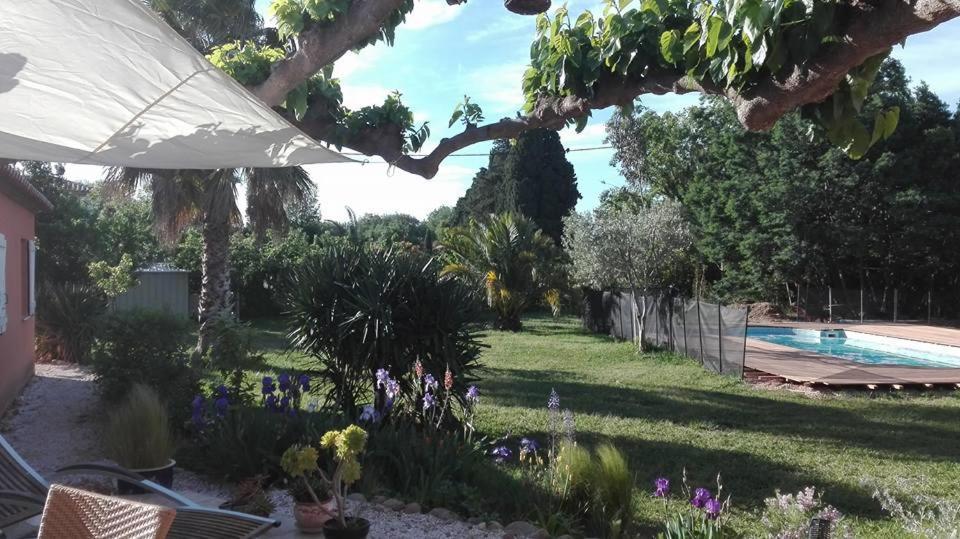 Gite Mas Uranie Le Soler Kültér fotó